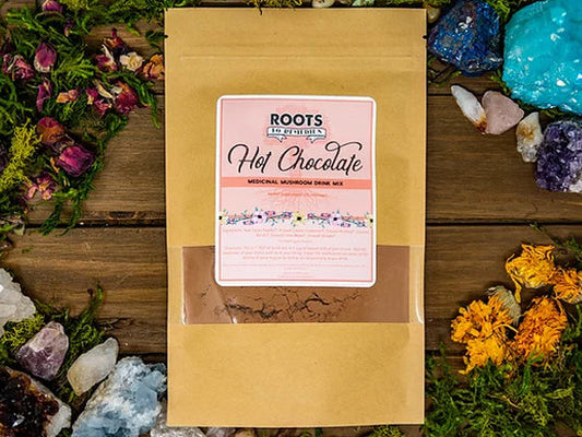 MEDICINAL MUSHROOM HOT CHOCOLATE MIX-0